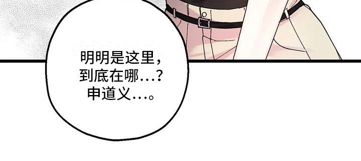 第15章：最后机会