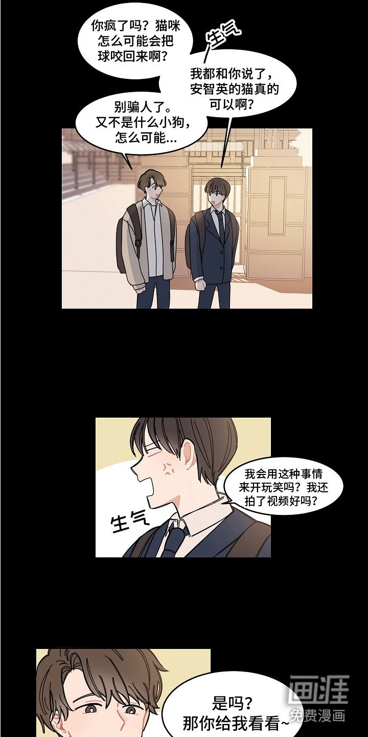 第16章：纠结