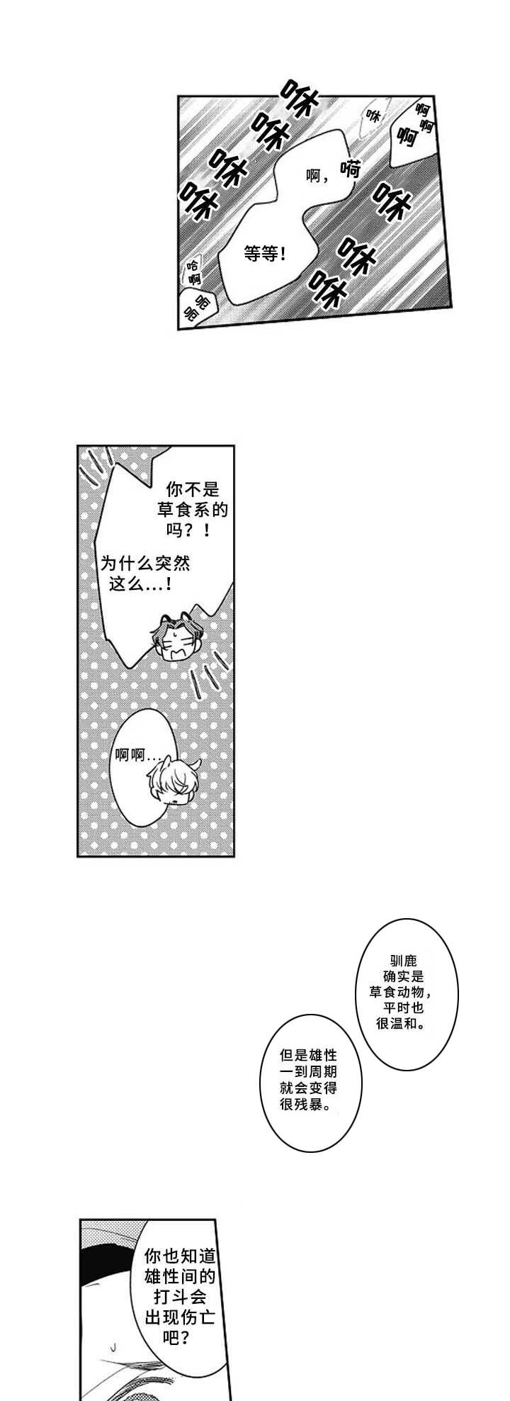 第12章：新责编