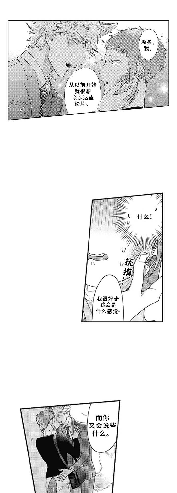 第2章：鳞片