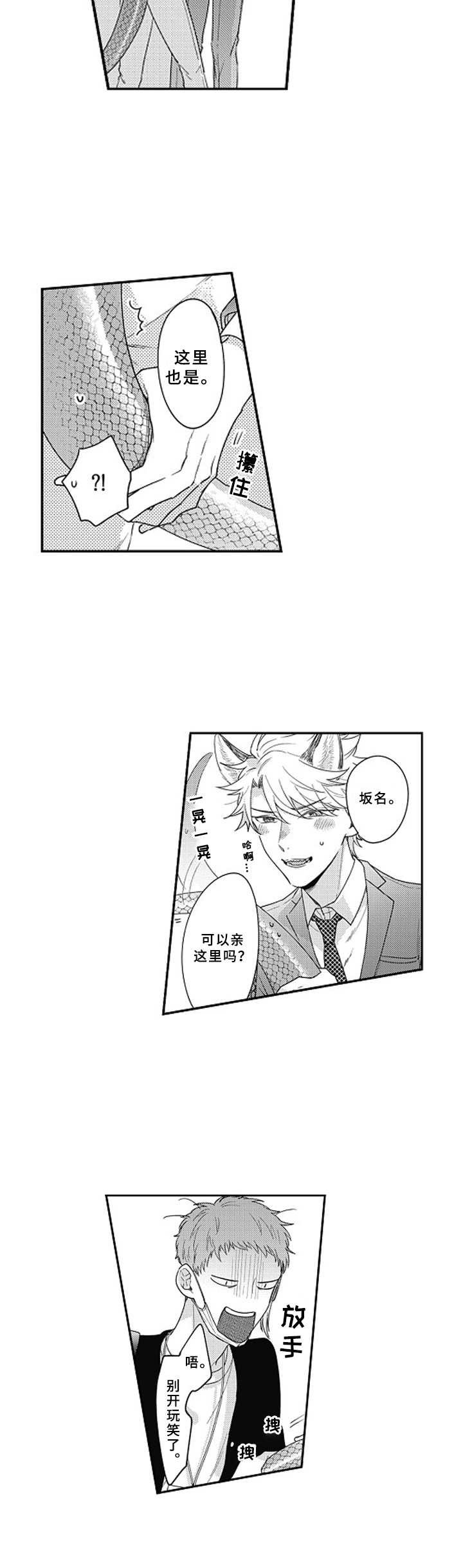 第2章：鳞片