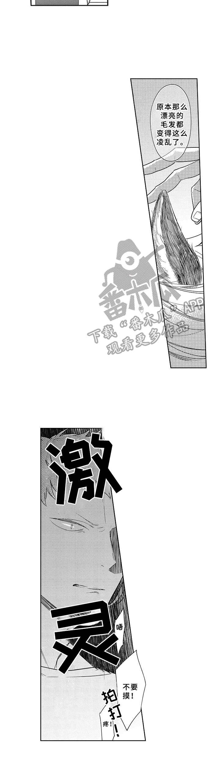 第6章：很在意