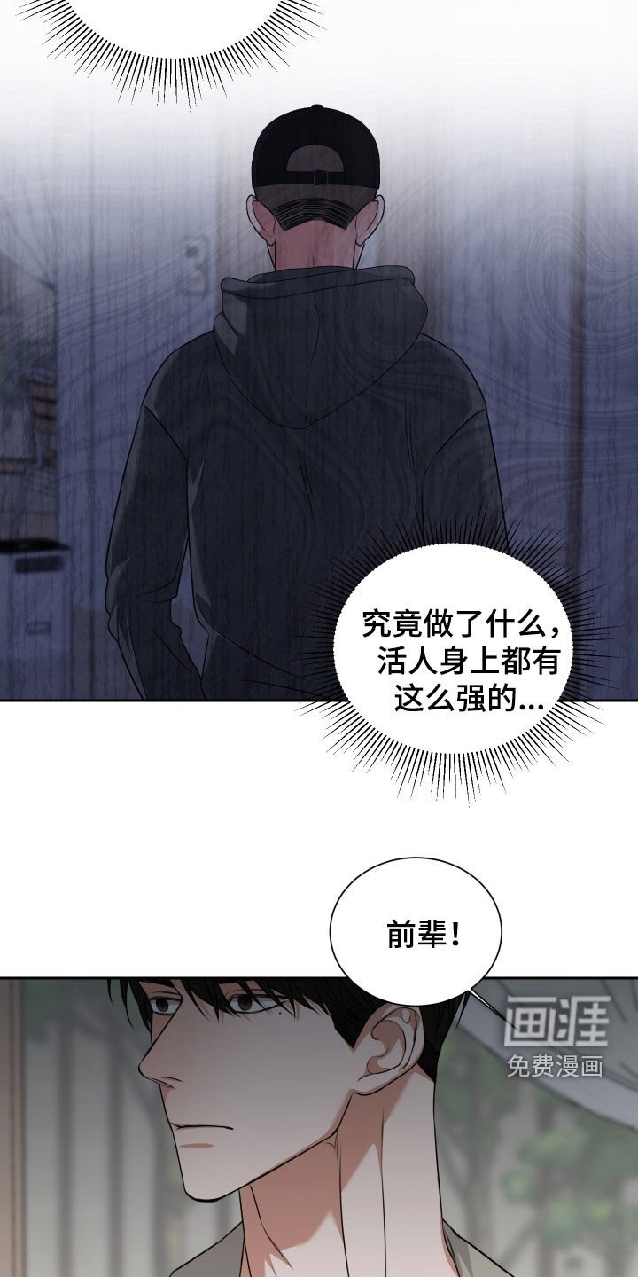 第37章：做梦
