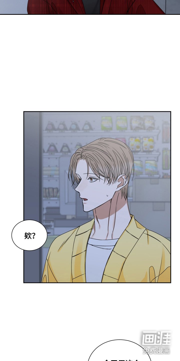 第4章：代替啤酒