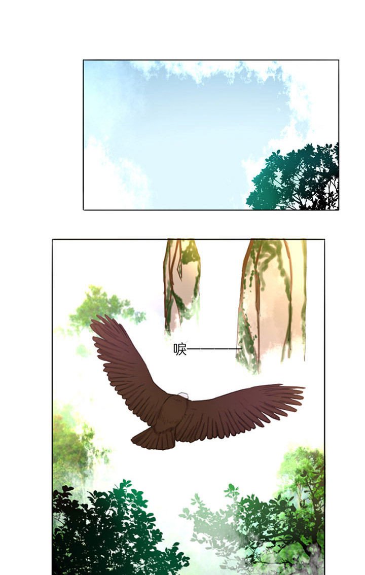 第14章：