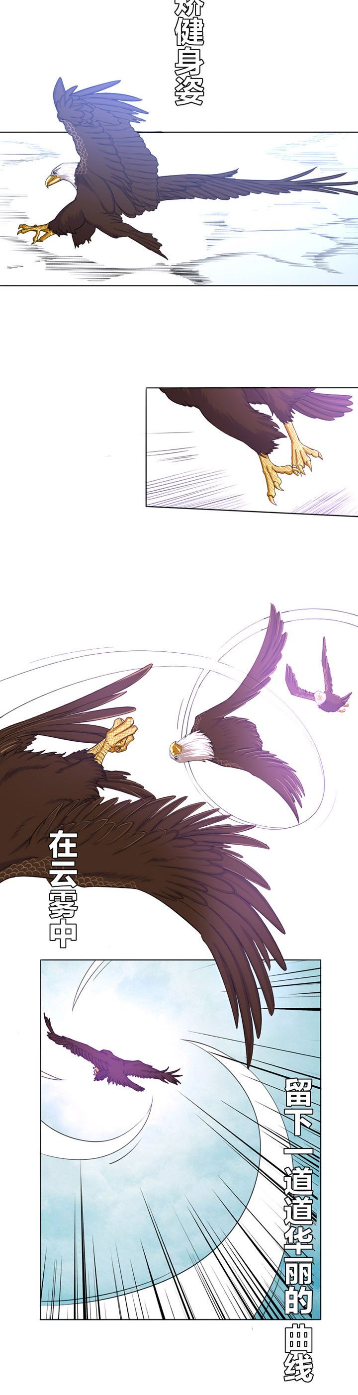 第14章：