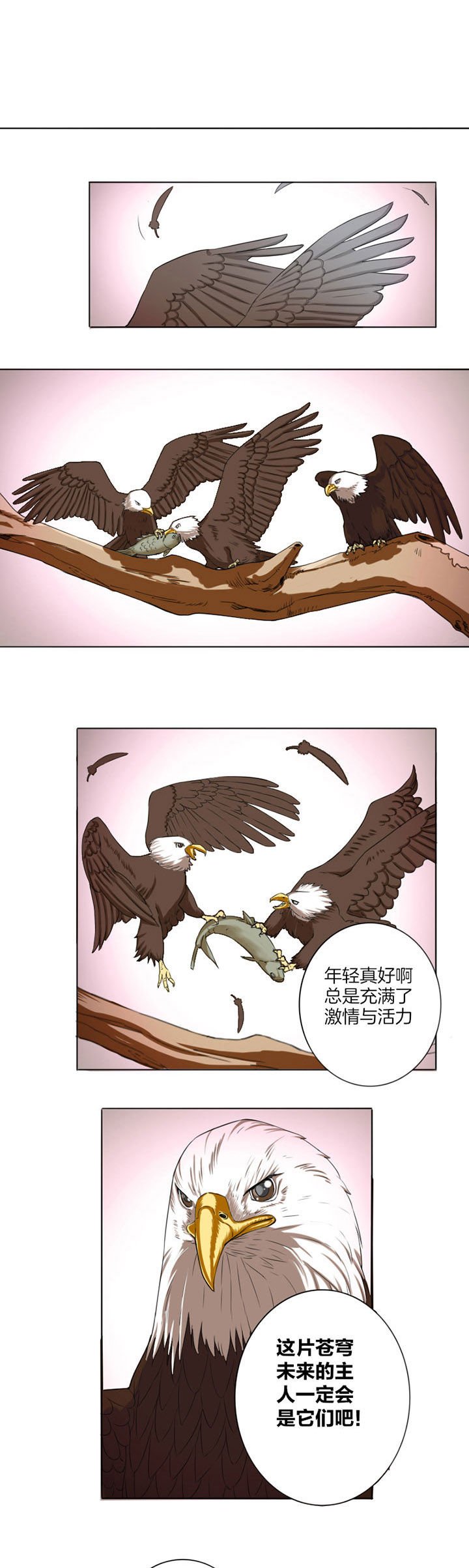 第16章：