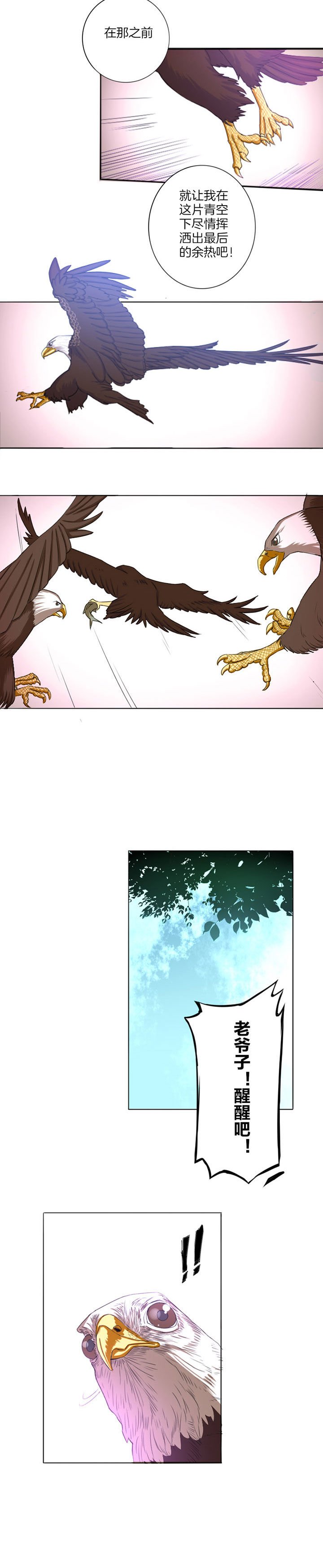 第16章：