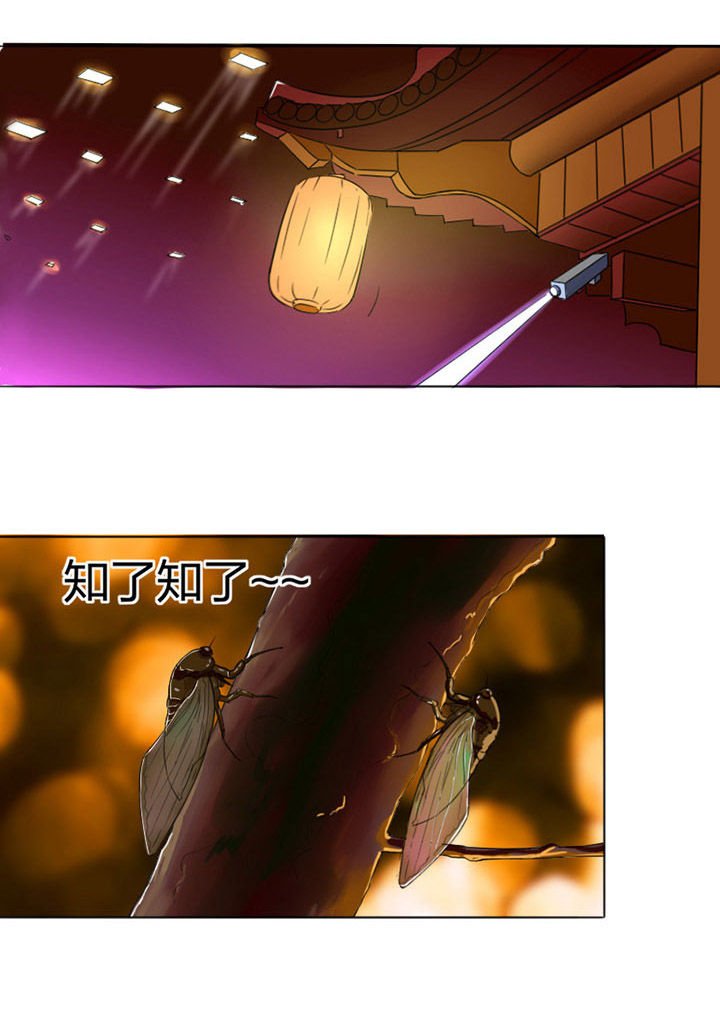 第5章：