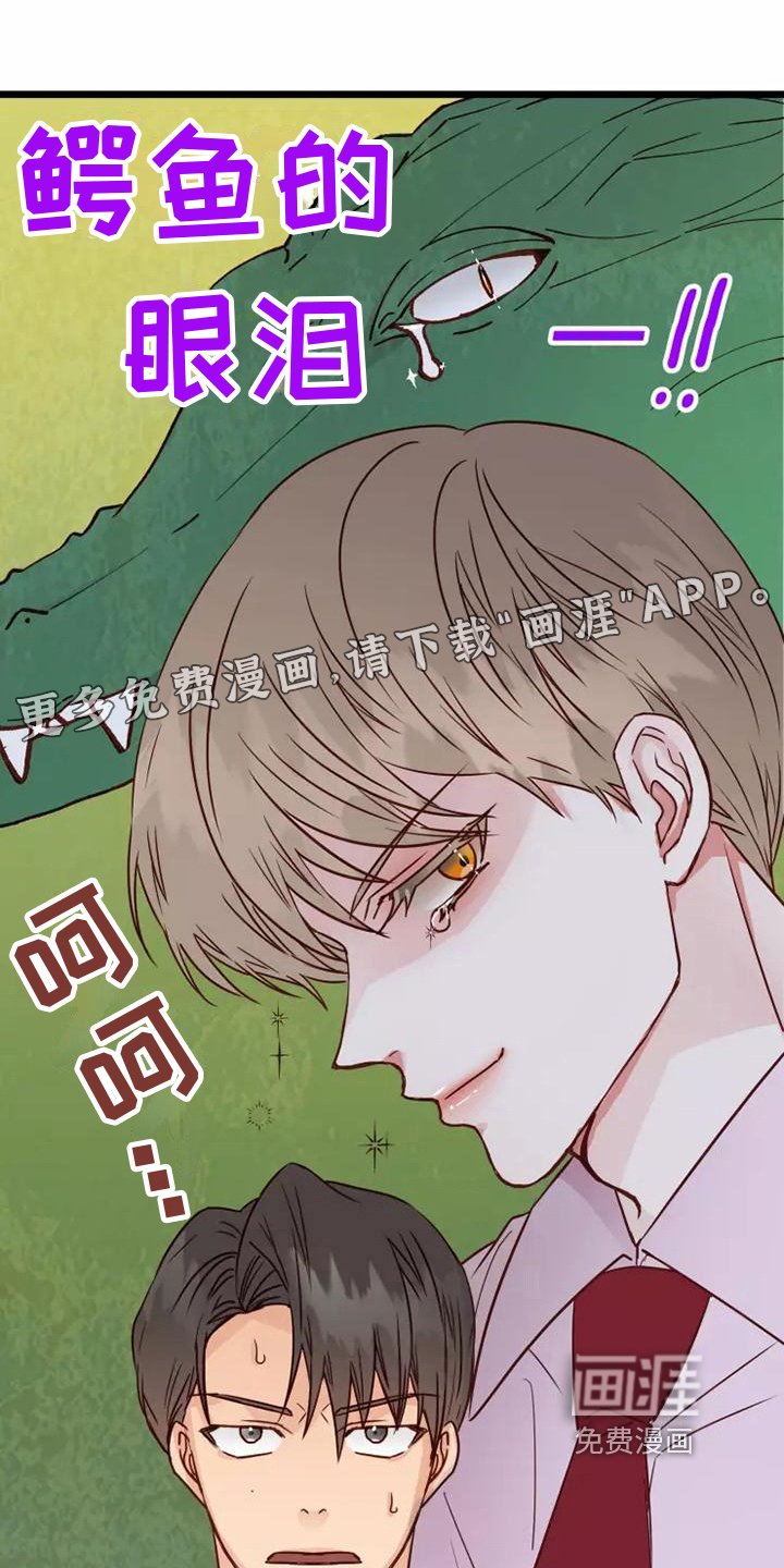第13章：吊胃口