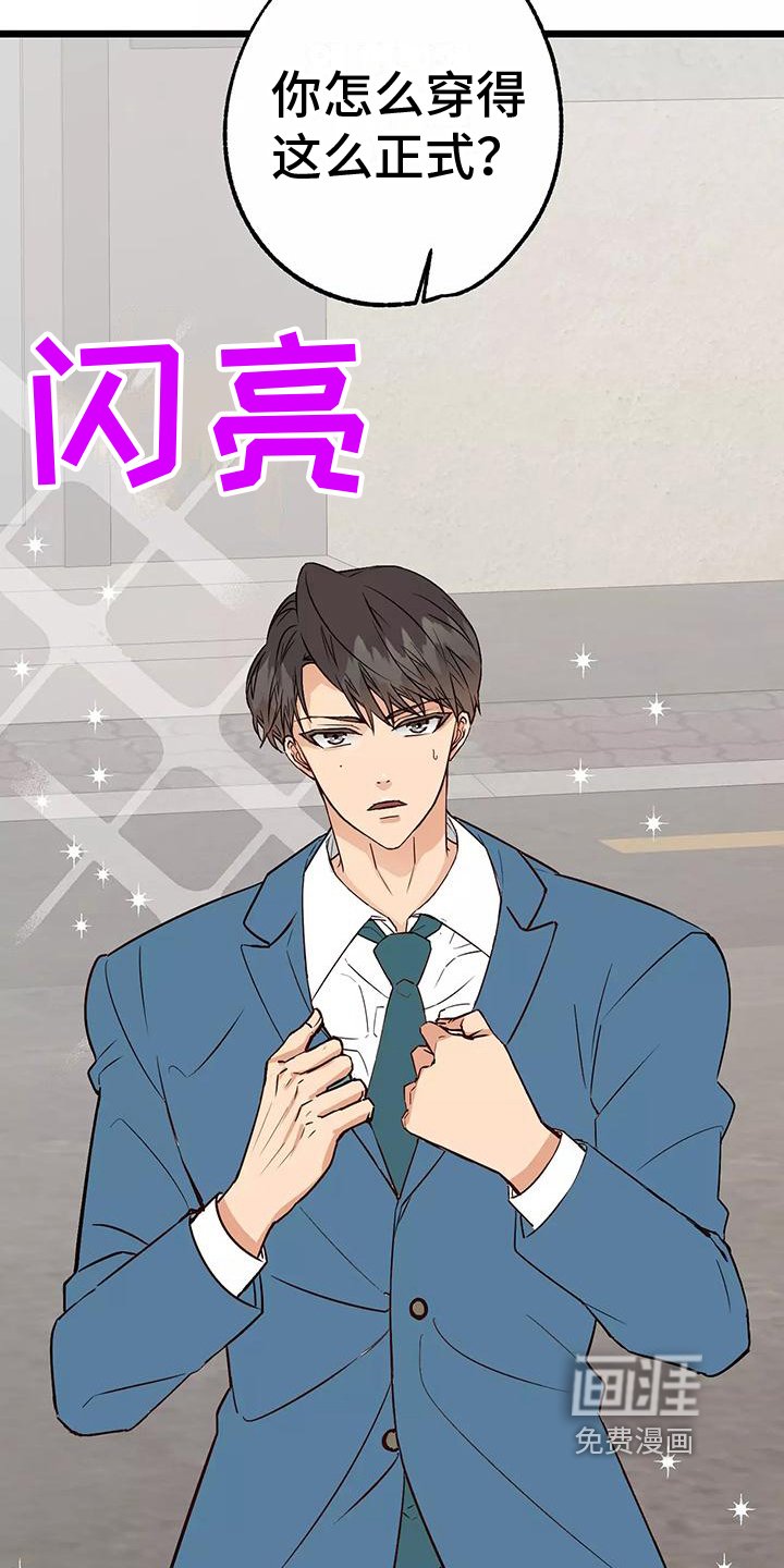 第13章：吊胃口