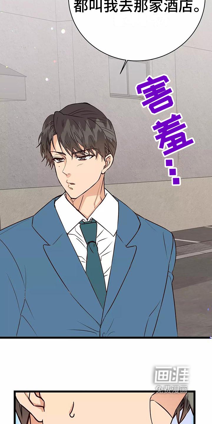 第14章：询问