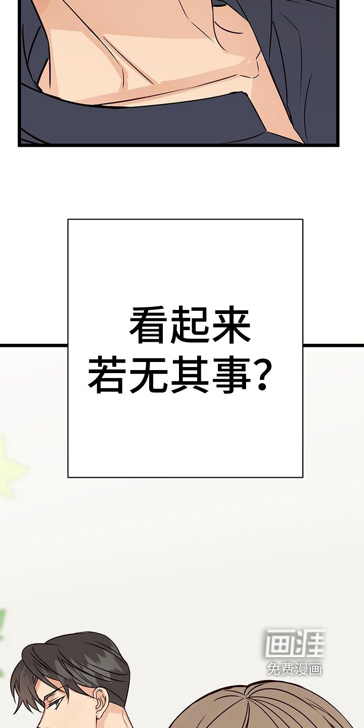 第17章：按计划进行