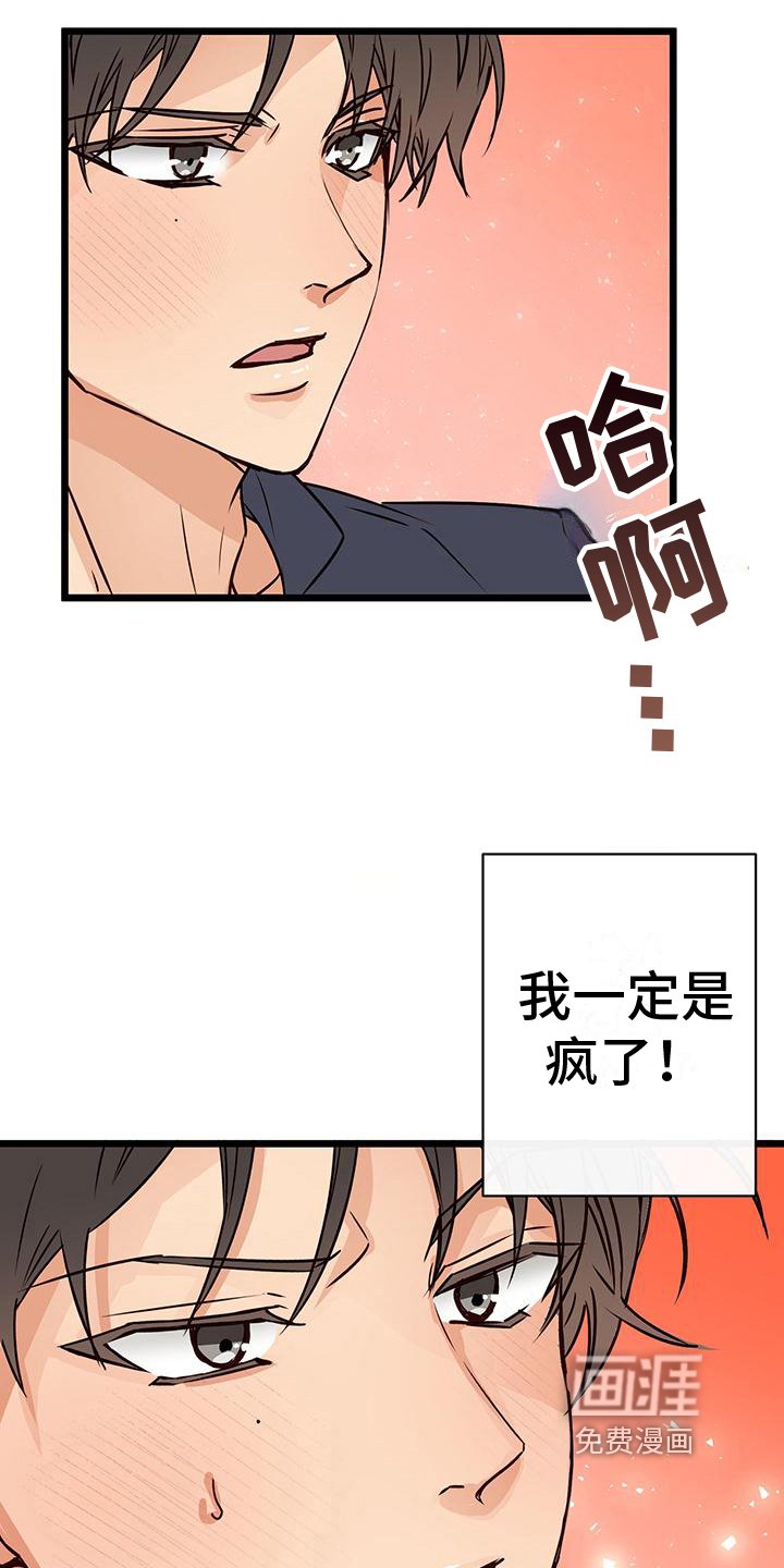 第17章：按计划进行