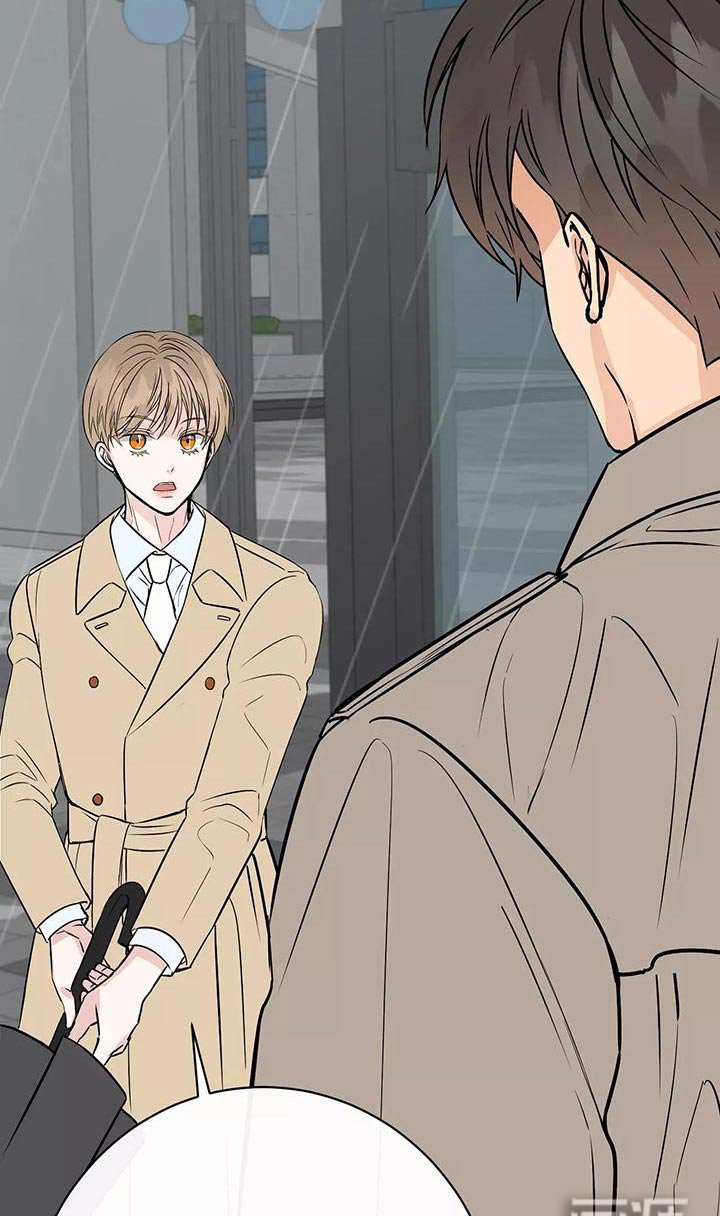 第19章：遮挡