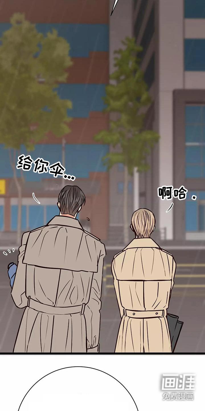 第19章：遮挡
