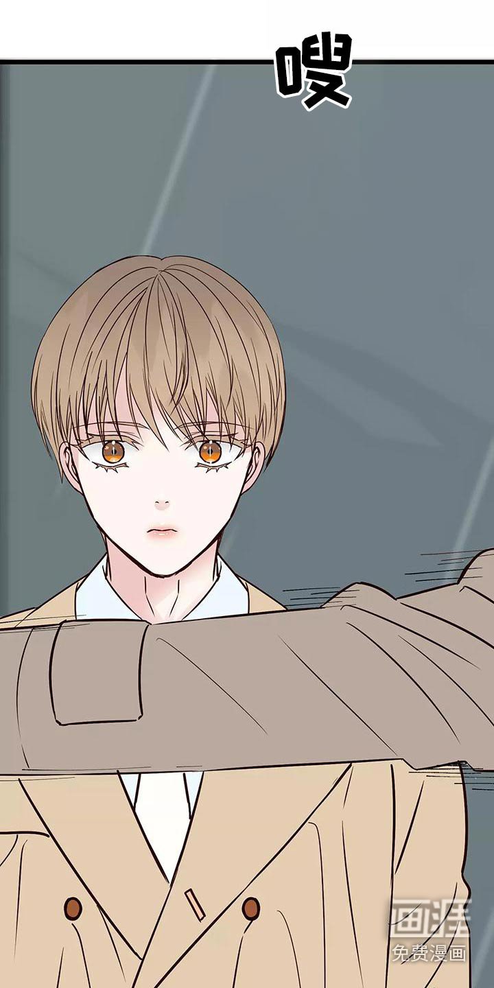 第19章：遮挡