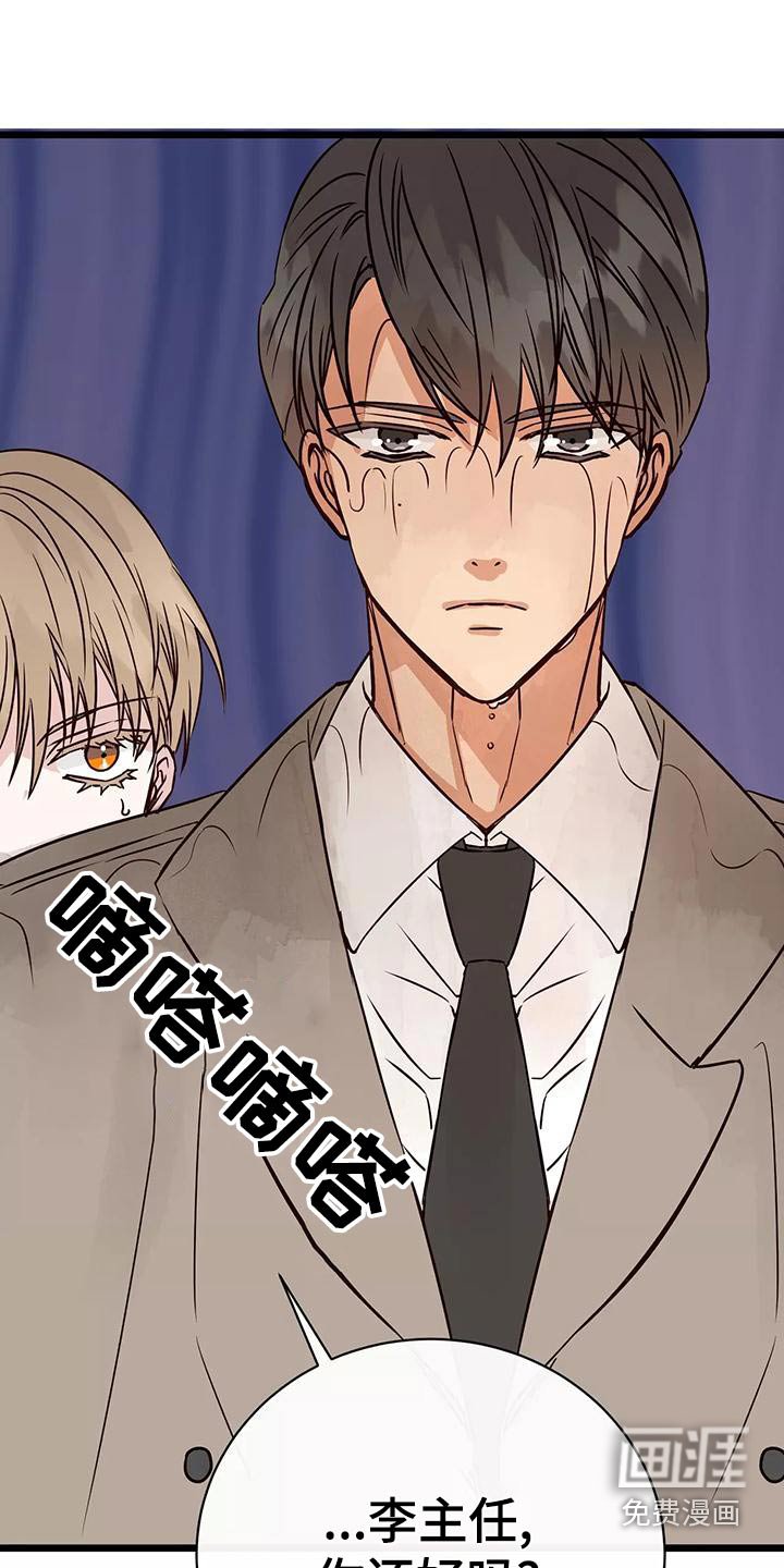 第19章：遮挡