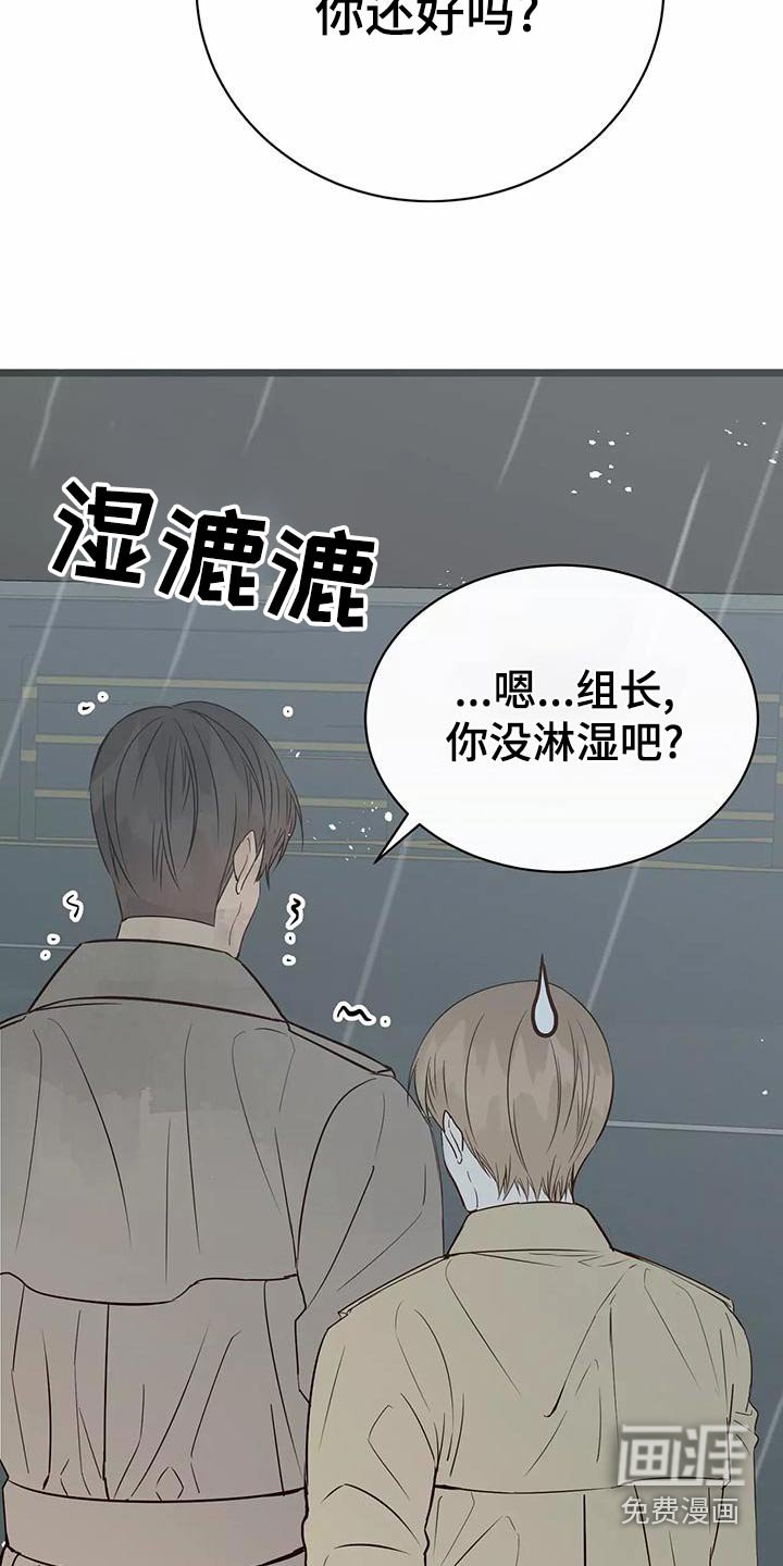 第19章：遮挡