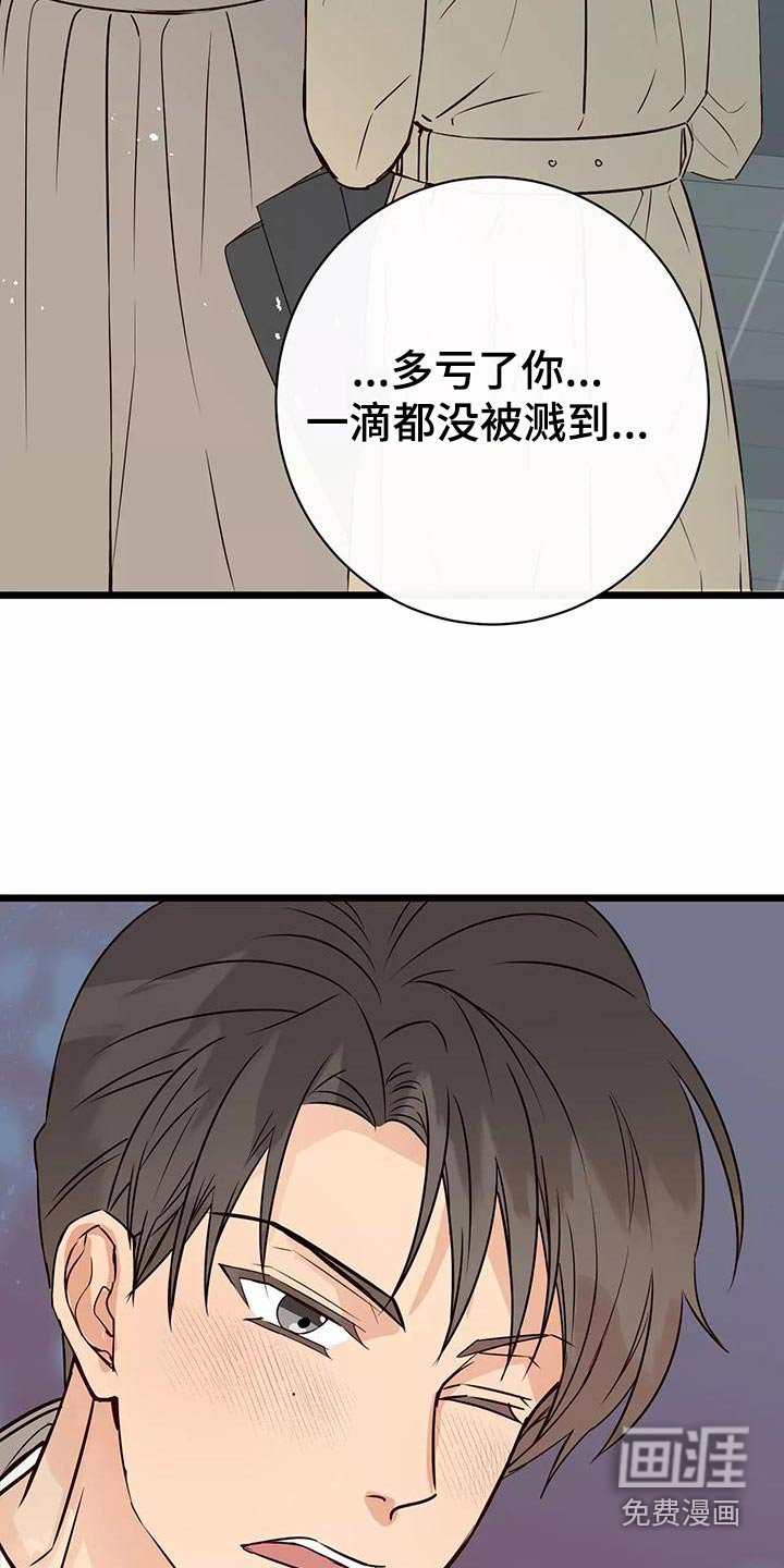 第19章：遮挡