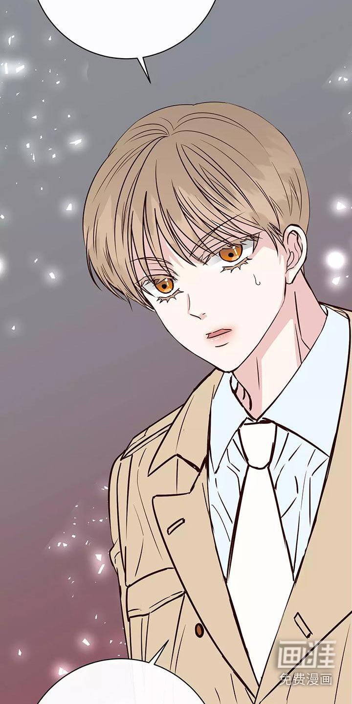 第19章：遮挡