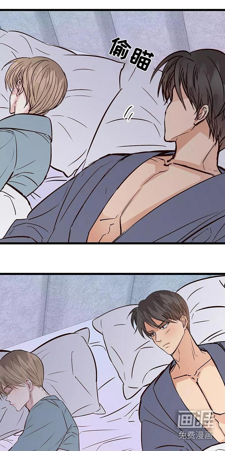 第21章：主动过