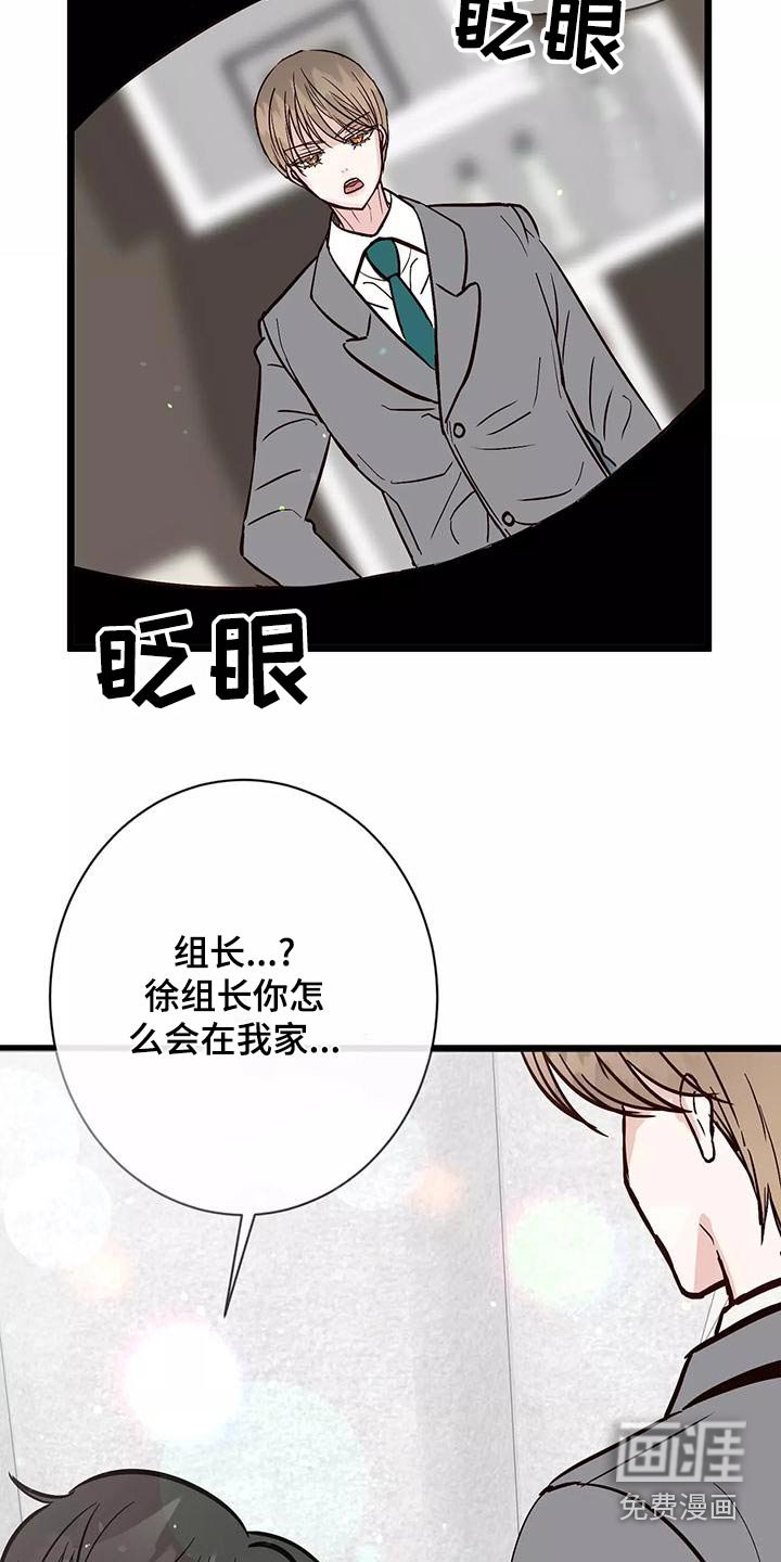 第21章：主动过