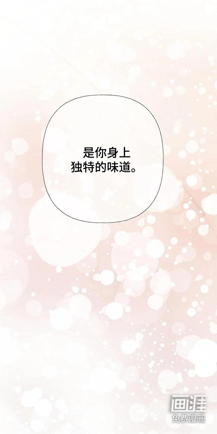 第24章：味道