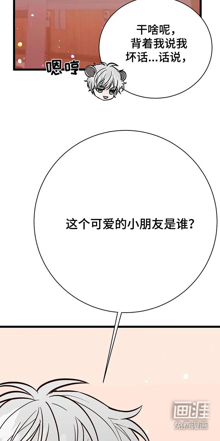 第28章：社团