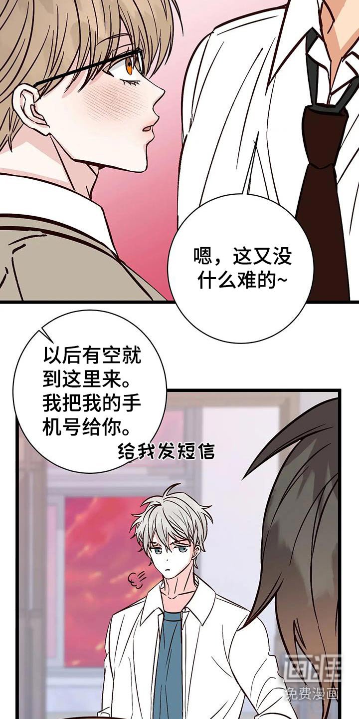第29章：偏爱