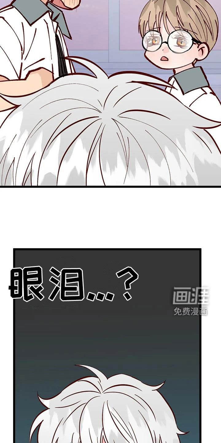 第31章：喜欢