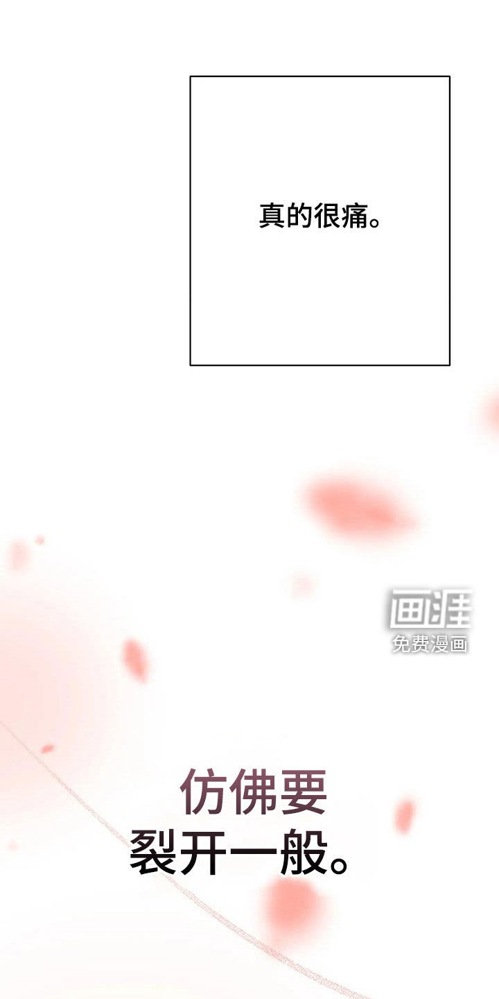 第31章：喜欢