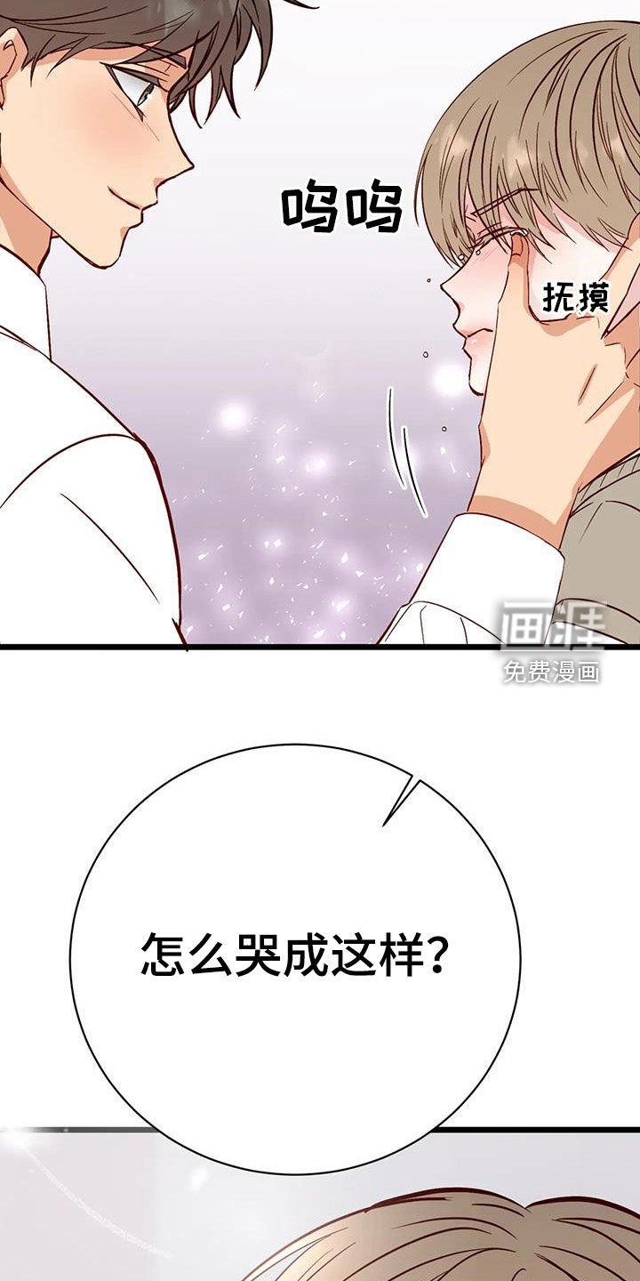 第32章：眼泪