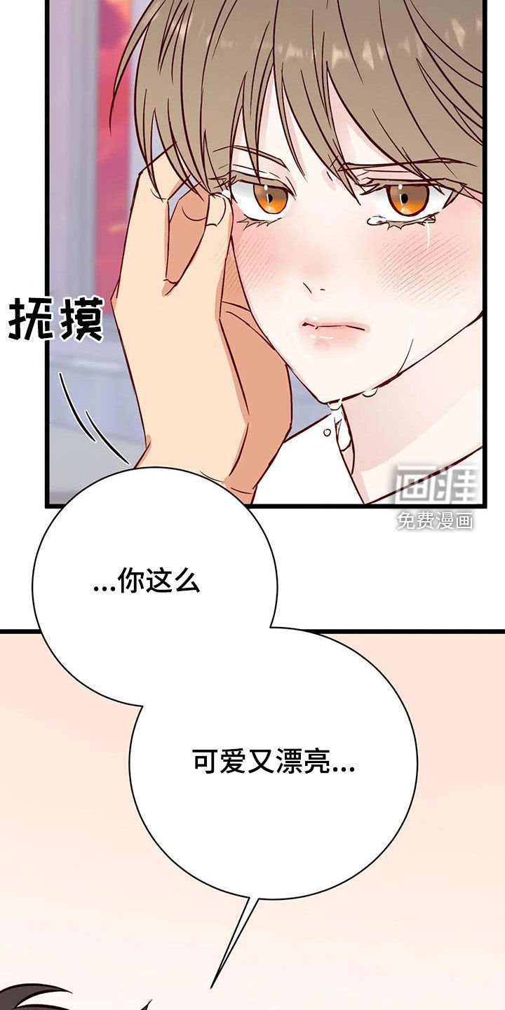 第32章：眼泪