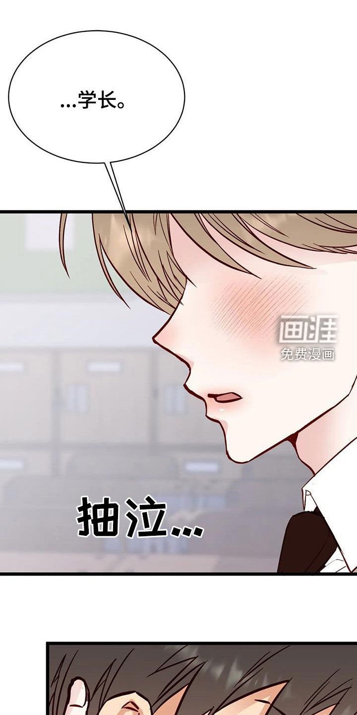 第33章：道歉