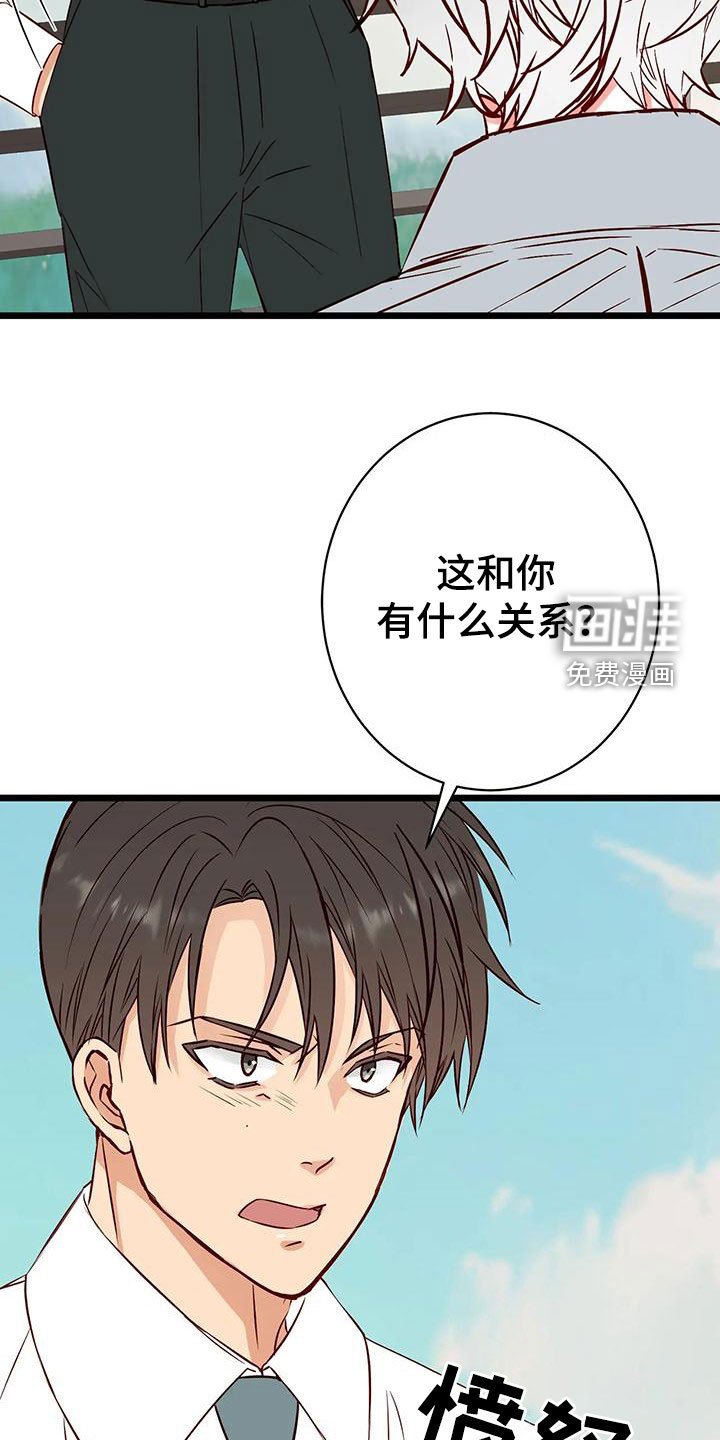 第37章：毁人人生