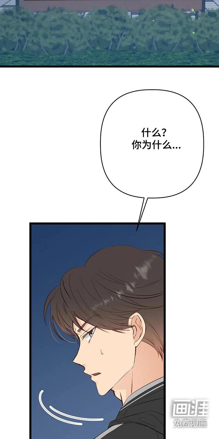 第40章：喜欢的是你