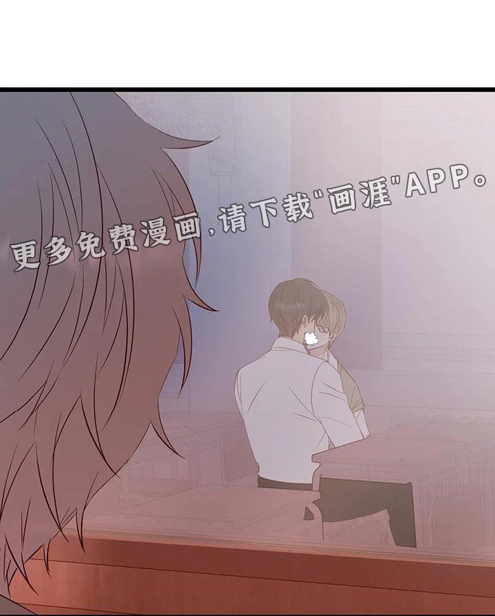 第41章：说实话