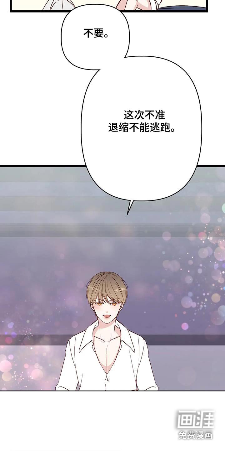 第41章：说实话