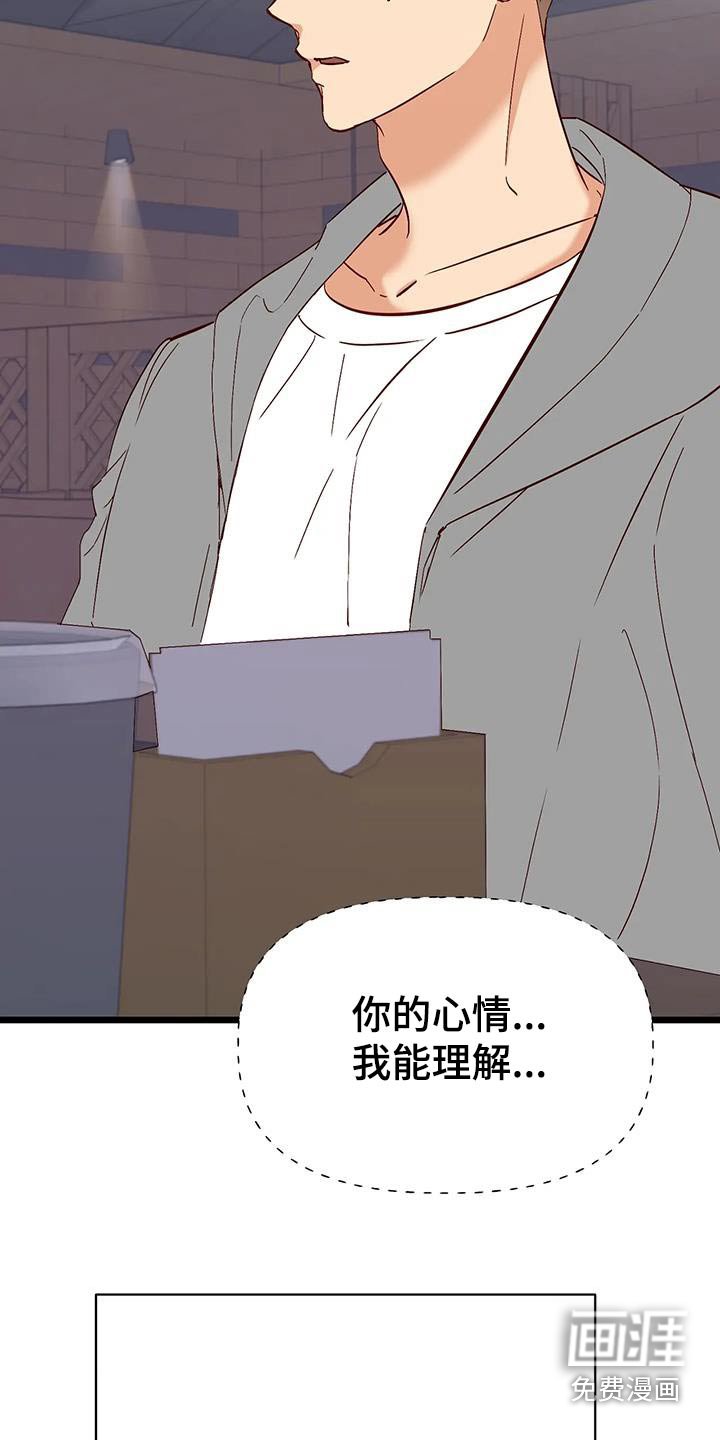 第50章：理解