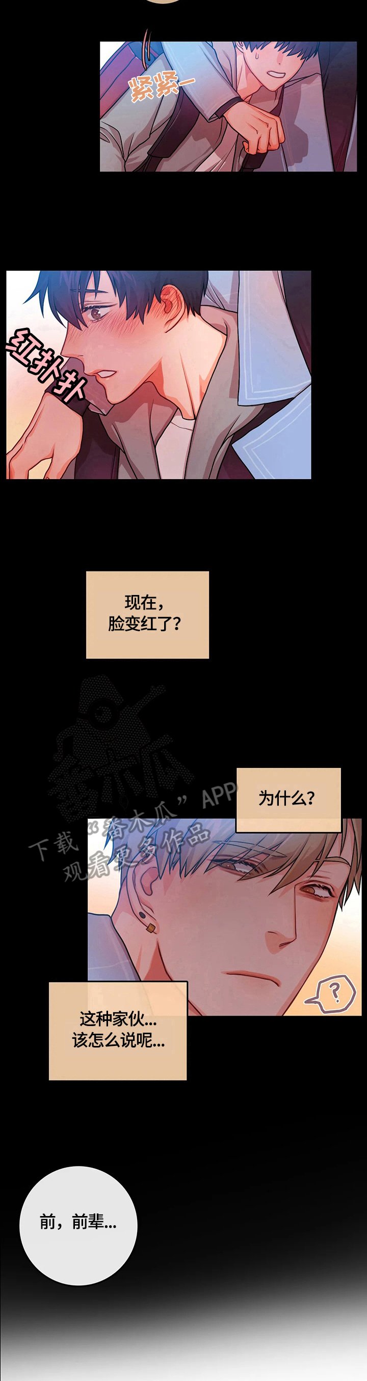 第11章：表白