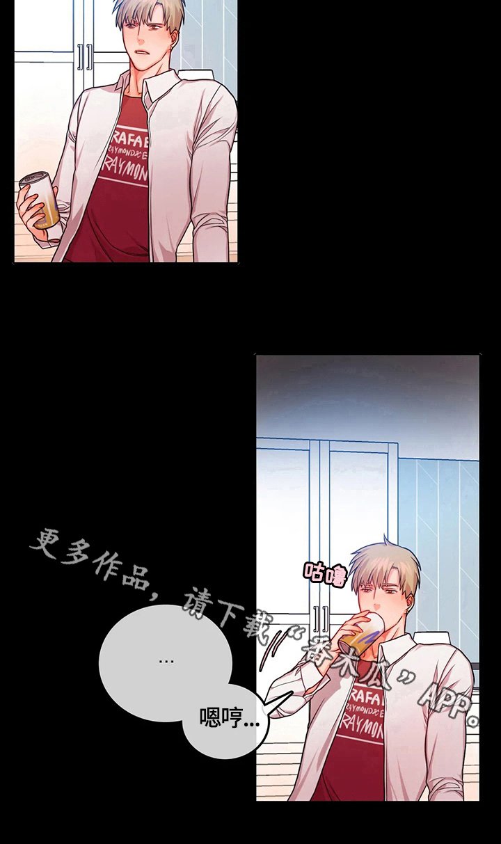 第11章：表白