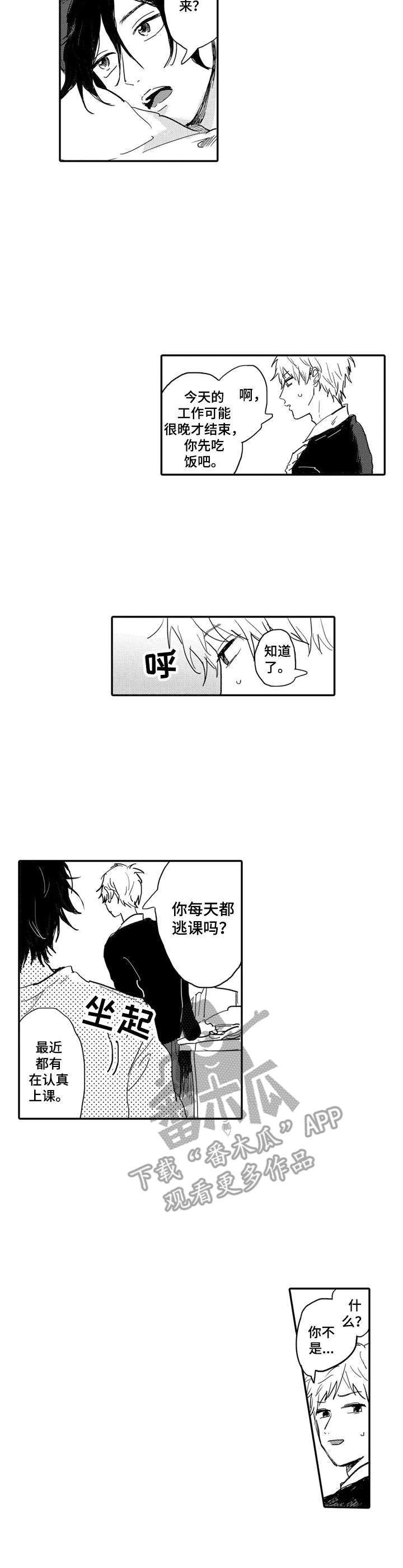 第13章：生活的动力