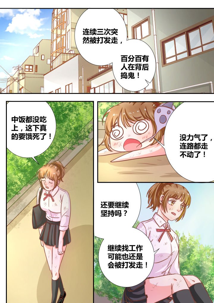 第13章：