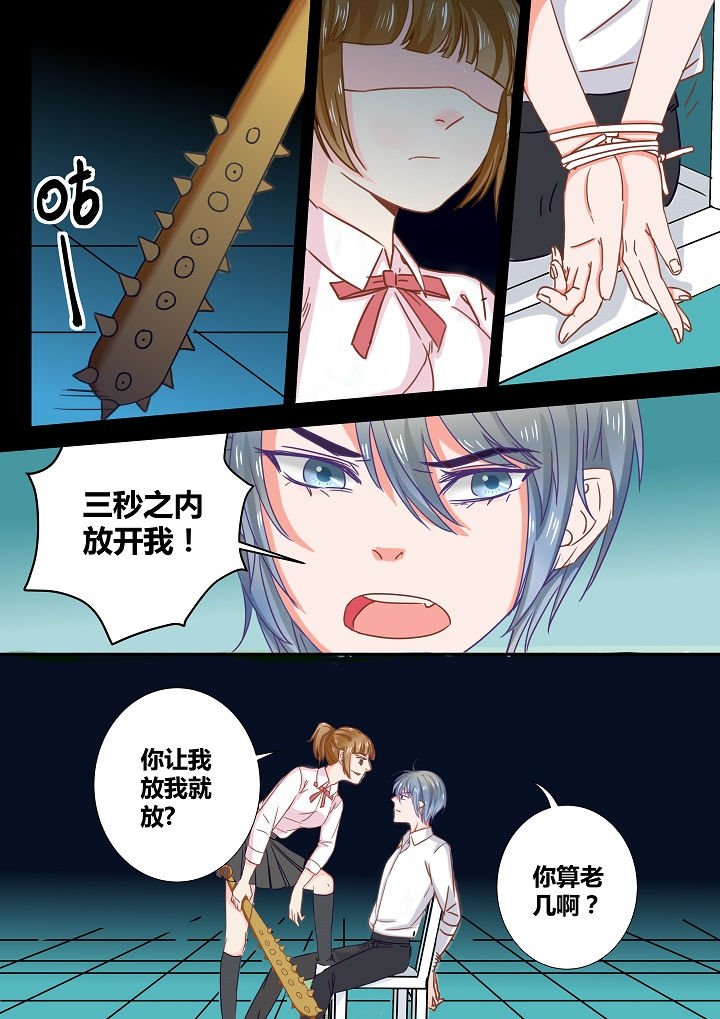 第29章：