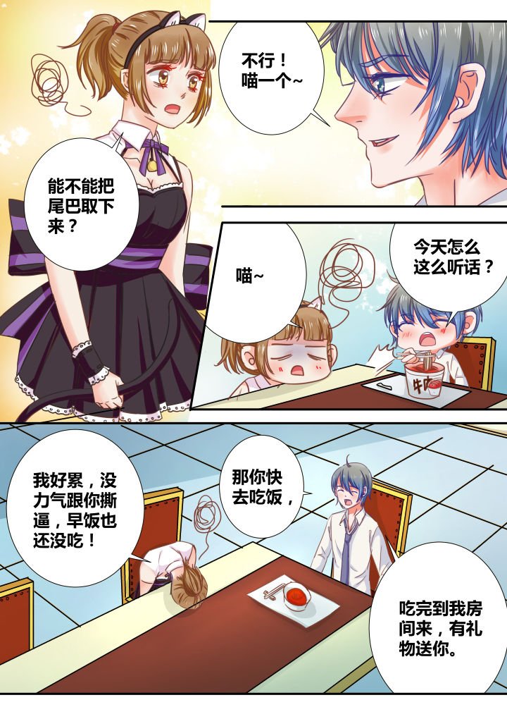 第29章：