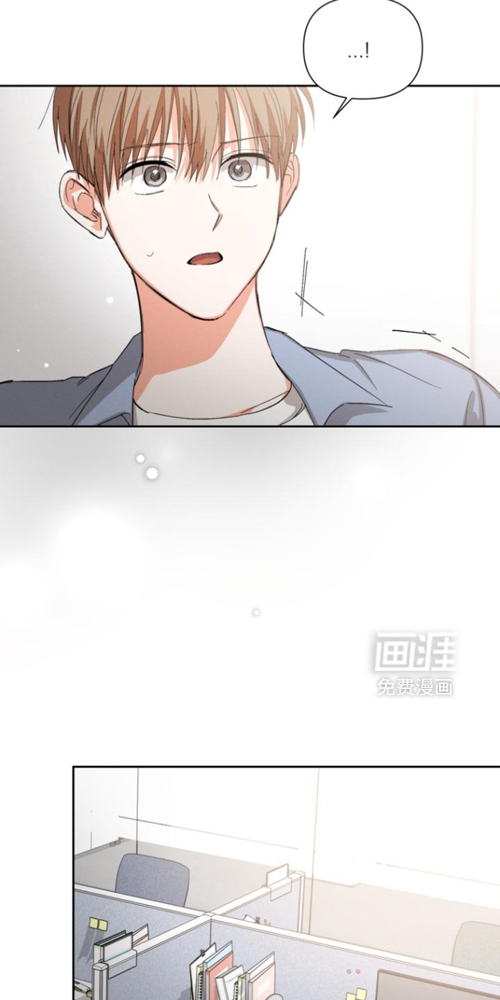 第116章：【第三季】计划