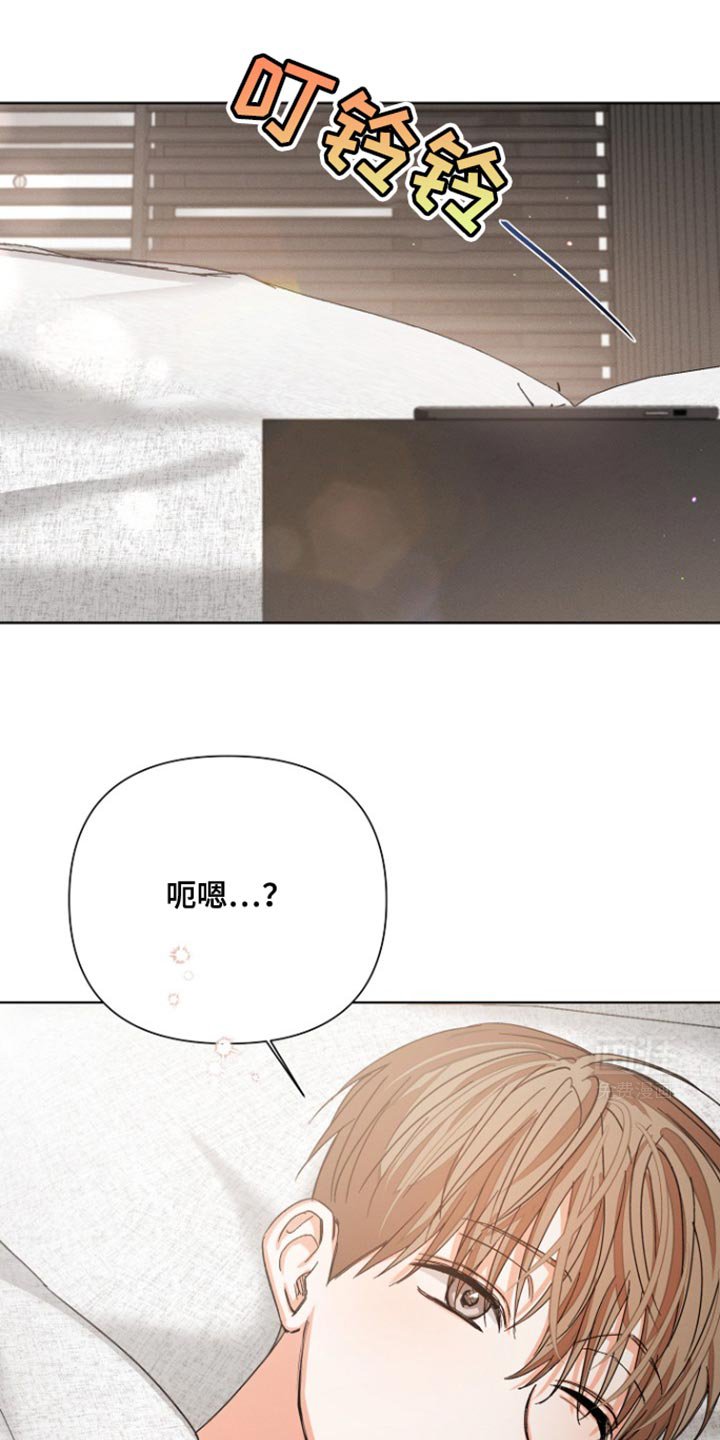 第83章：【第三季】回到总公司