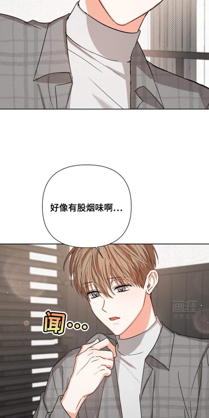 第83章：【第三季】回到总公司