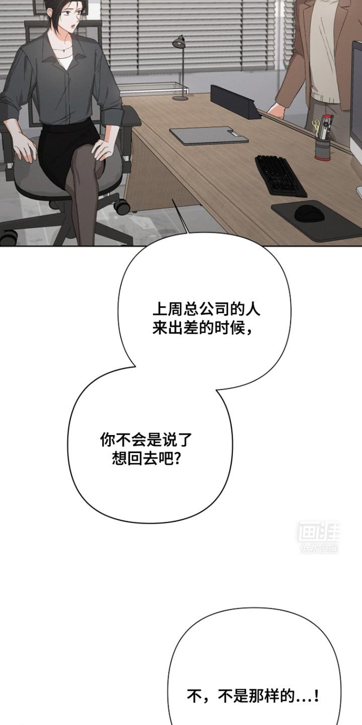 第83章：【第三季】回到总公司